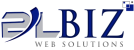 DUAL BIZ WEB SOLUTIONS